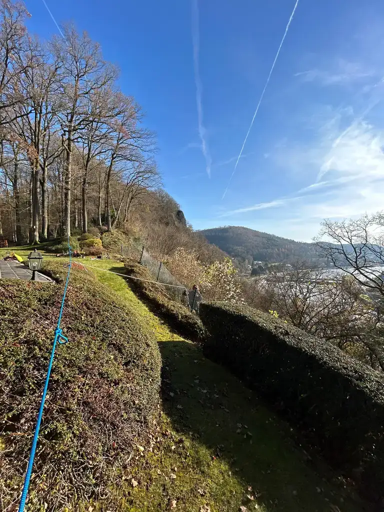 Débroussaillage