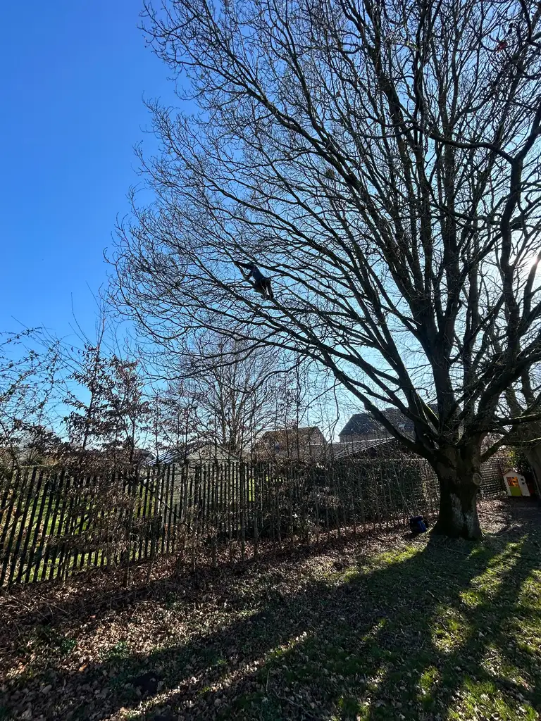 Réalisation KN Garden