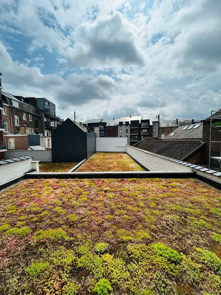 Réalisation KN Garden