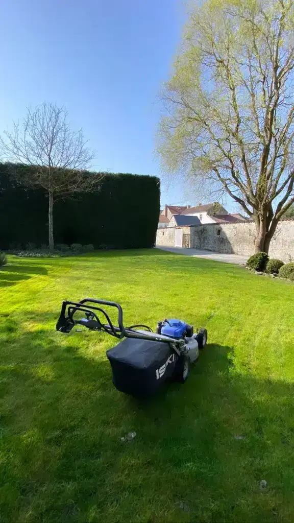 Tonte de Pelouse